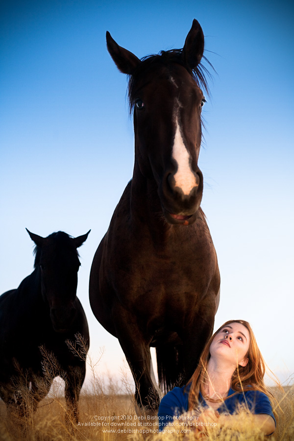 Girl With Her Horses