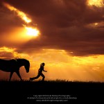 Horse Following Woman