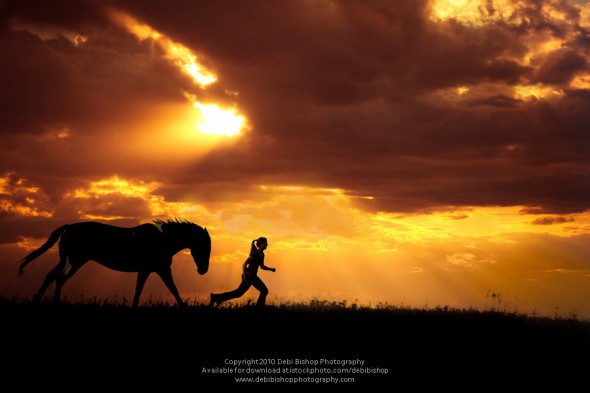 Horse Following Woman