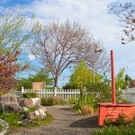 Children’s Garden
