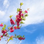 Beautiful Spring Day