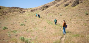 Native Plant Hike - Wallula Gap