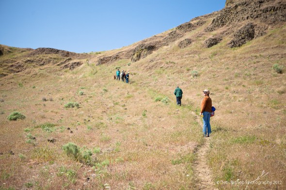 Native Plant Hike - Wallula Gap