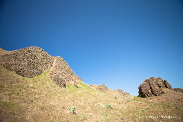Native Plant Hike - Wallula Gap