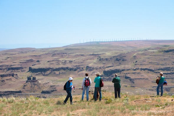 Glacial Fields & Shrub-Steppe