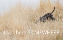 M-Test-sand-and-sage-8622