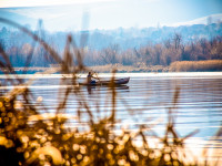 Kayaker In The Yakima Delta