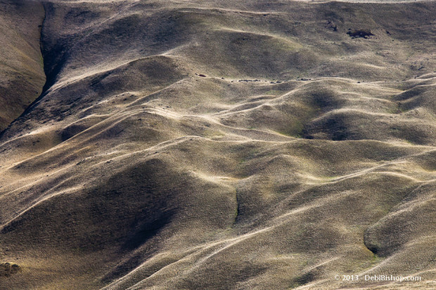 Horse Heaven Hills Topography