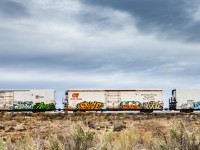 Grafitti Train