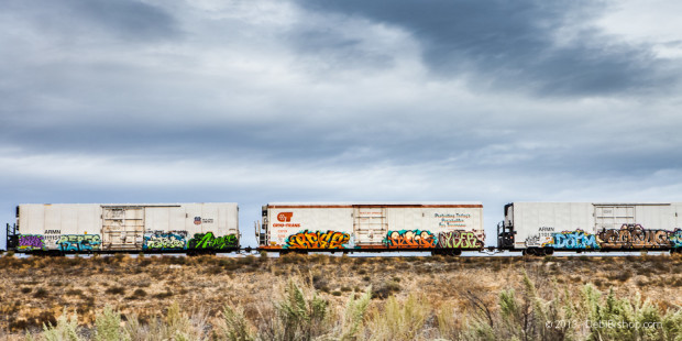 Grafitti Train