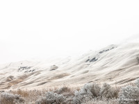 Snow Kissed Horse Heaven Hills