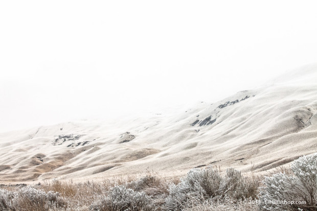 Snow Kissed Horse Heaven Hills