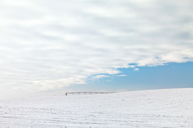 Field & Sky