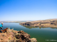What A View – Columbia River