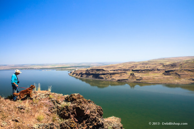 What A View - Columbia River