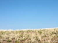 Eastern Washington Grassland