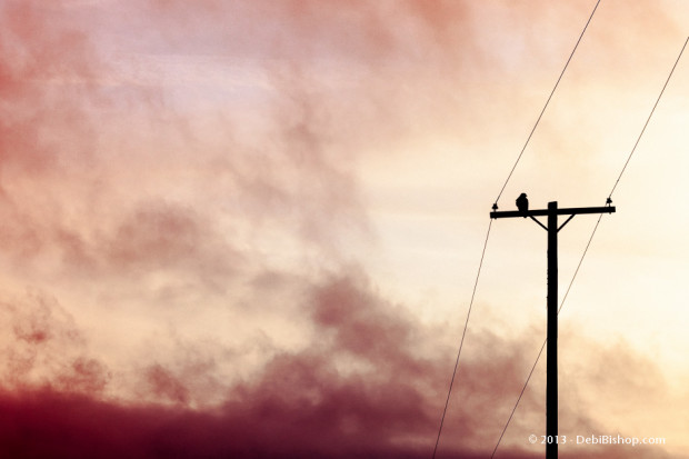 Red Dawn Rising
