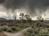 Chamna Nature Preserve – Storm Approaching