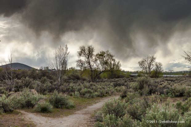 Chamna Nature Preserve - Storm Approaching