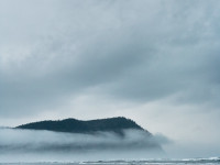 Misty Day On Oregon Coast