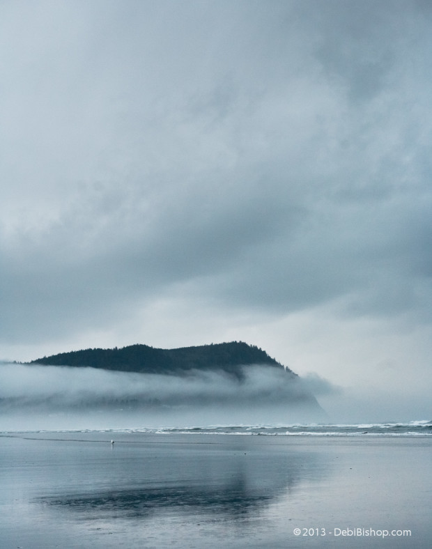 Misty Day On Oregon Coast
