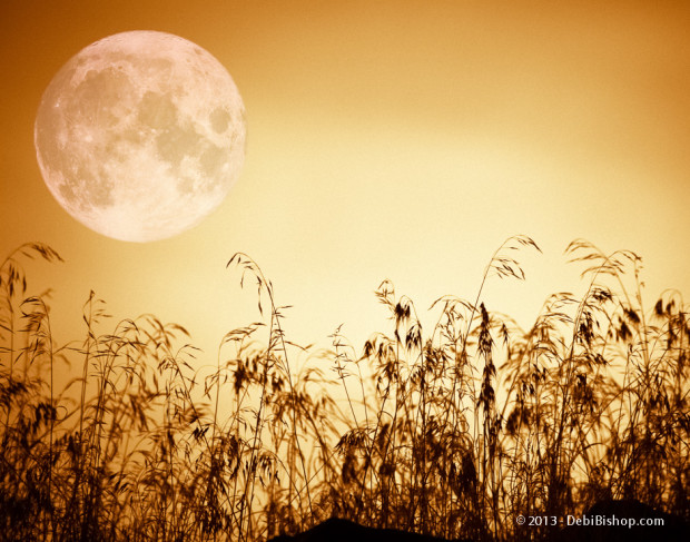 Full Moon Rising