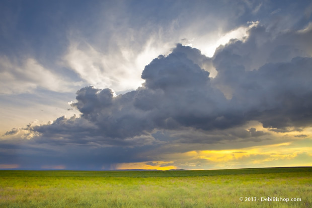 Spring Thunderstorm Coming