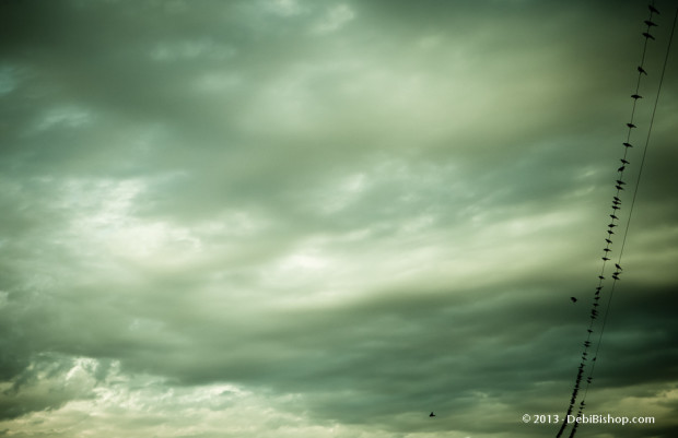 Drama In The Sky