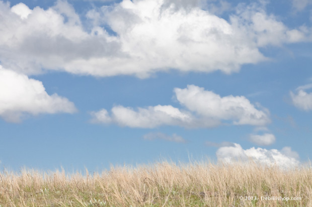 Dreamy Day Sky & Clouds