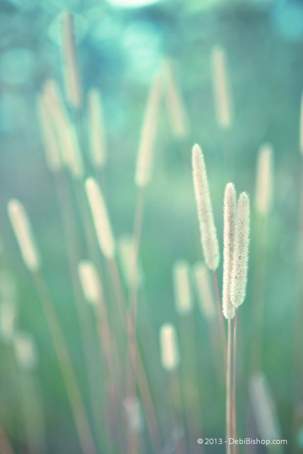 Green Serene