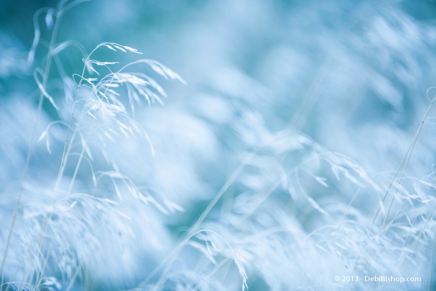 Breezy Blue