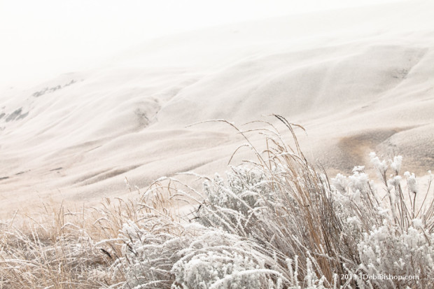 Horse Heaven Hills In Hoarfrost