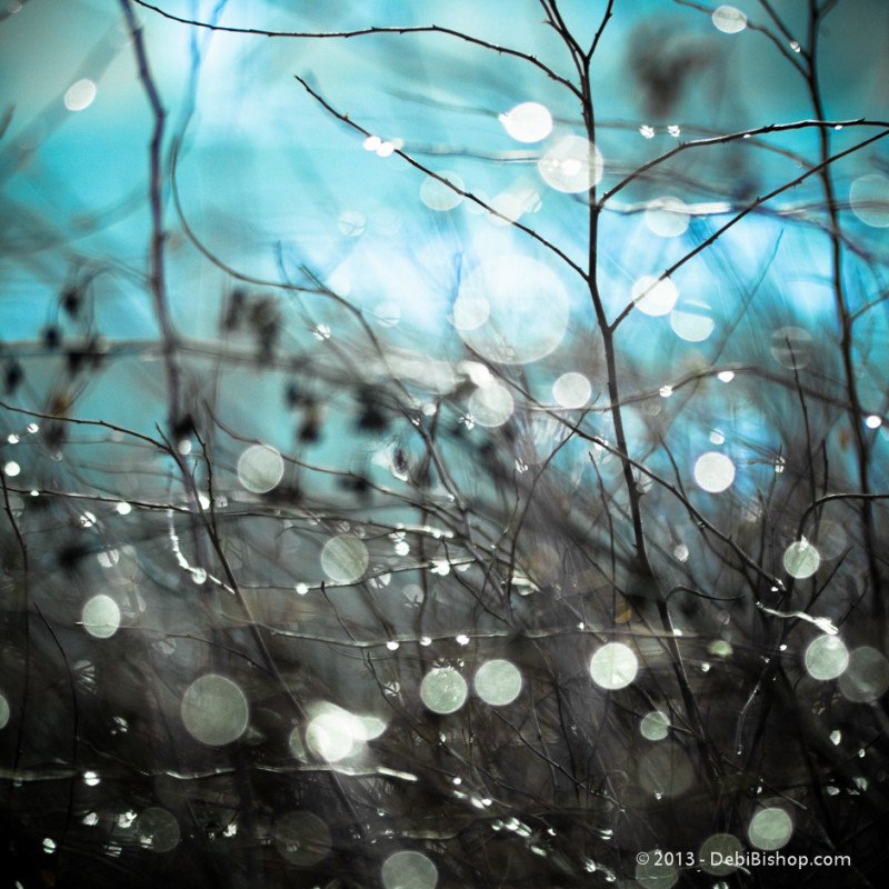 January's Jewels - Sparkling Branches