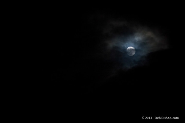 Midnight Moon