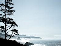 Oregon Coast Beauty