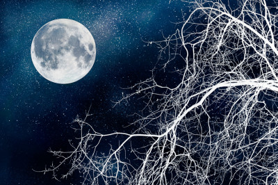 By The Light Of An Icy Moon